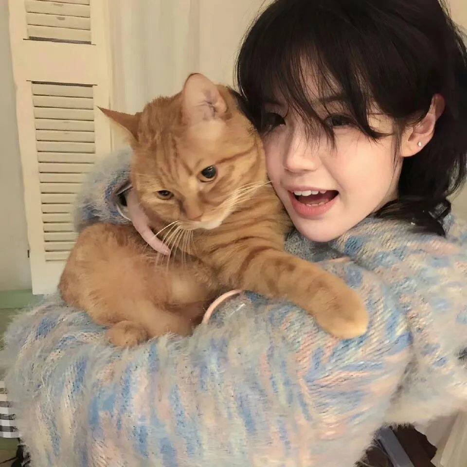 孤独的美食家正月特别篇：井之头五郎漫长的一天