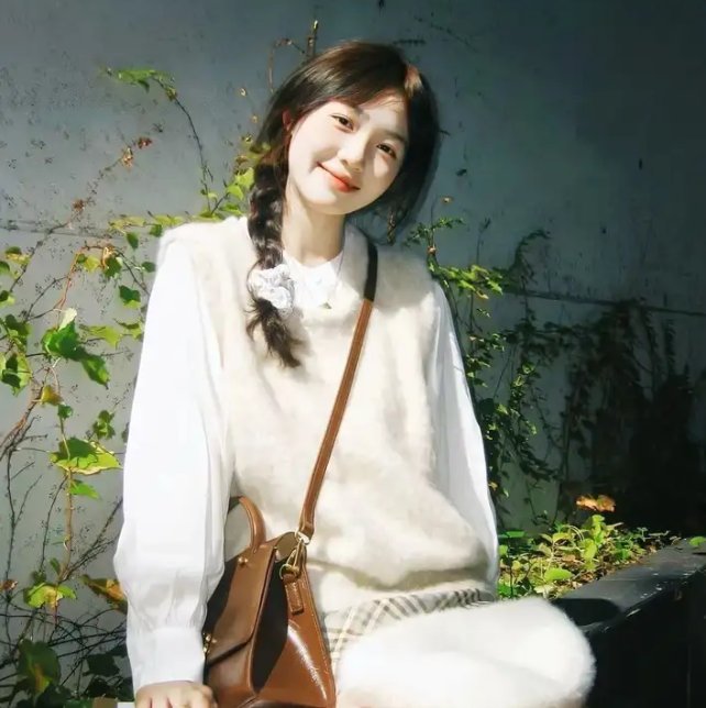 少帅的伪装情人